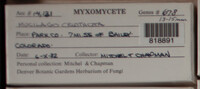 Image Associated With the Occurence